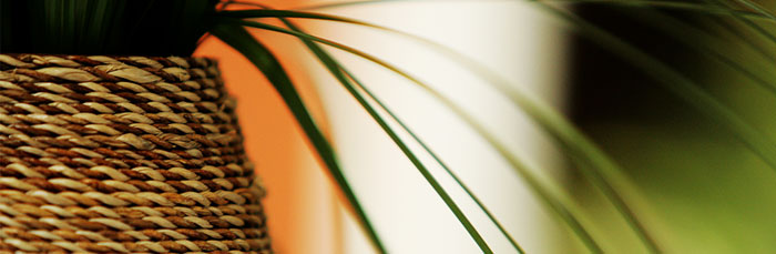 header-testimonials